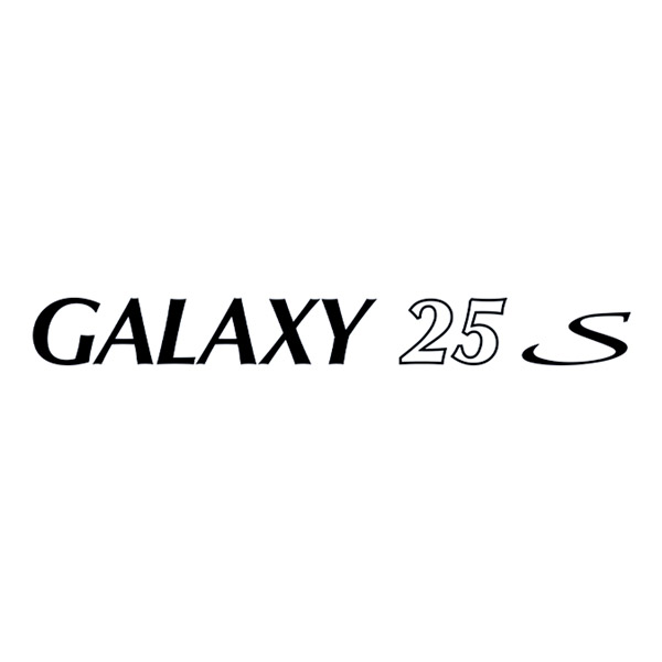 Adesivi per camper: Adesivo decorativo Pilote Galaxy 25S per camper