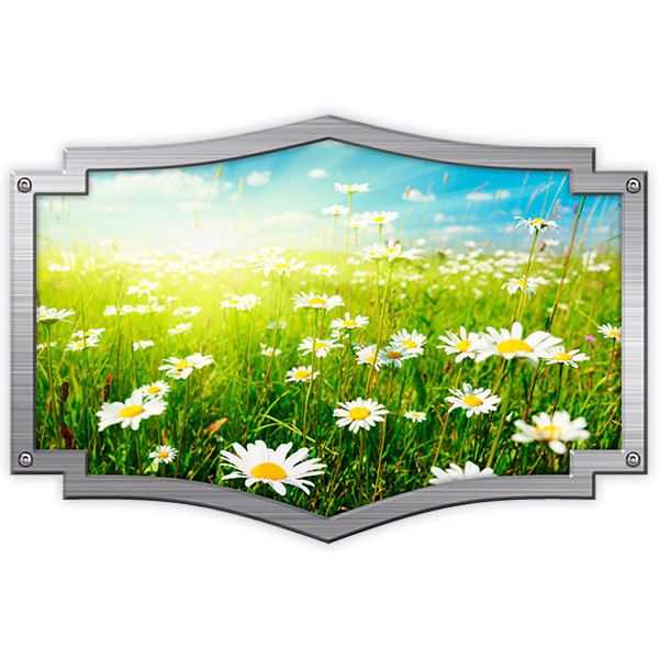 Adesivi per camper: Cornice ornamentale campo daisy