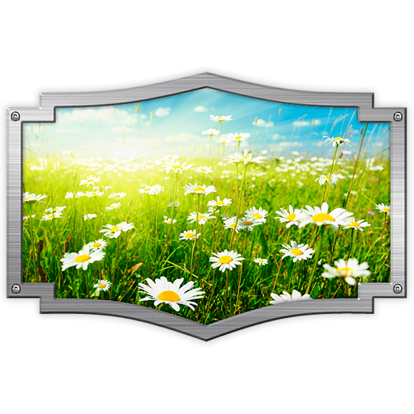 Adesivi per camper: Cornice ornamentale campo daisy