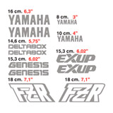 Adesivi per Auto e Moto: kit Yamaha FZR 2